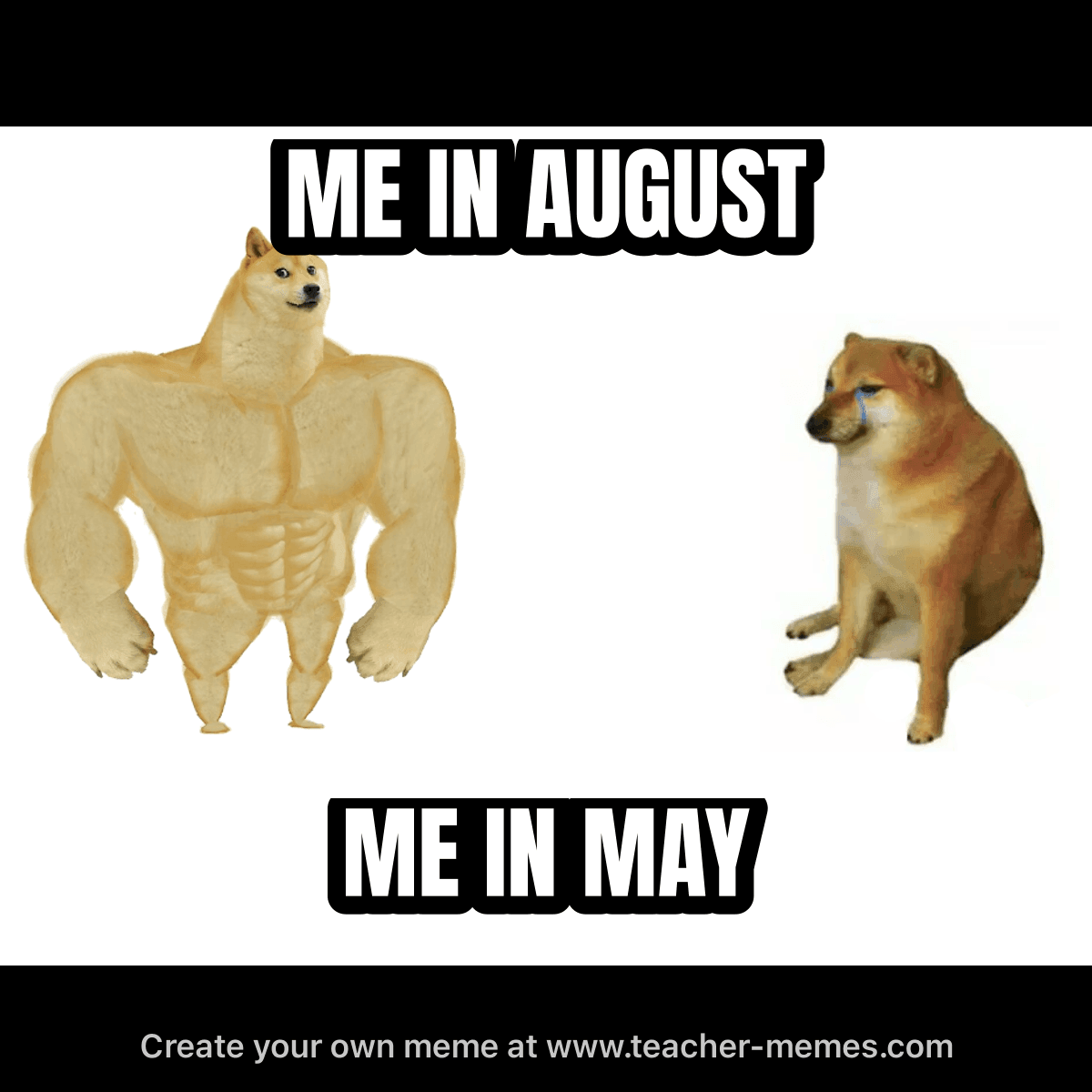 ME IN AUGUST / ME IN MAY