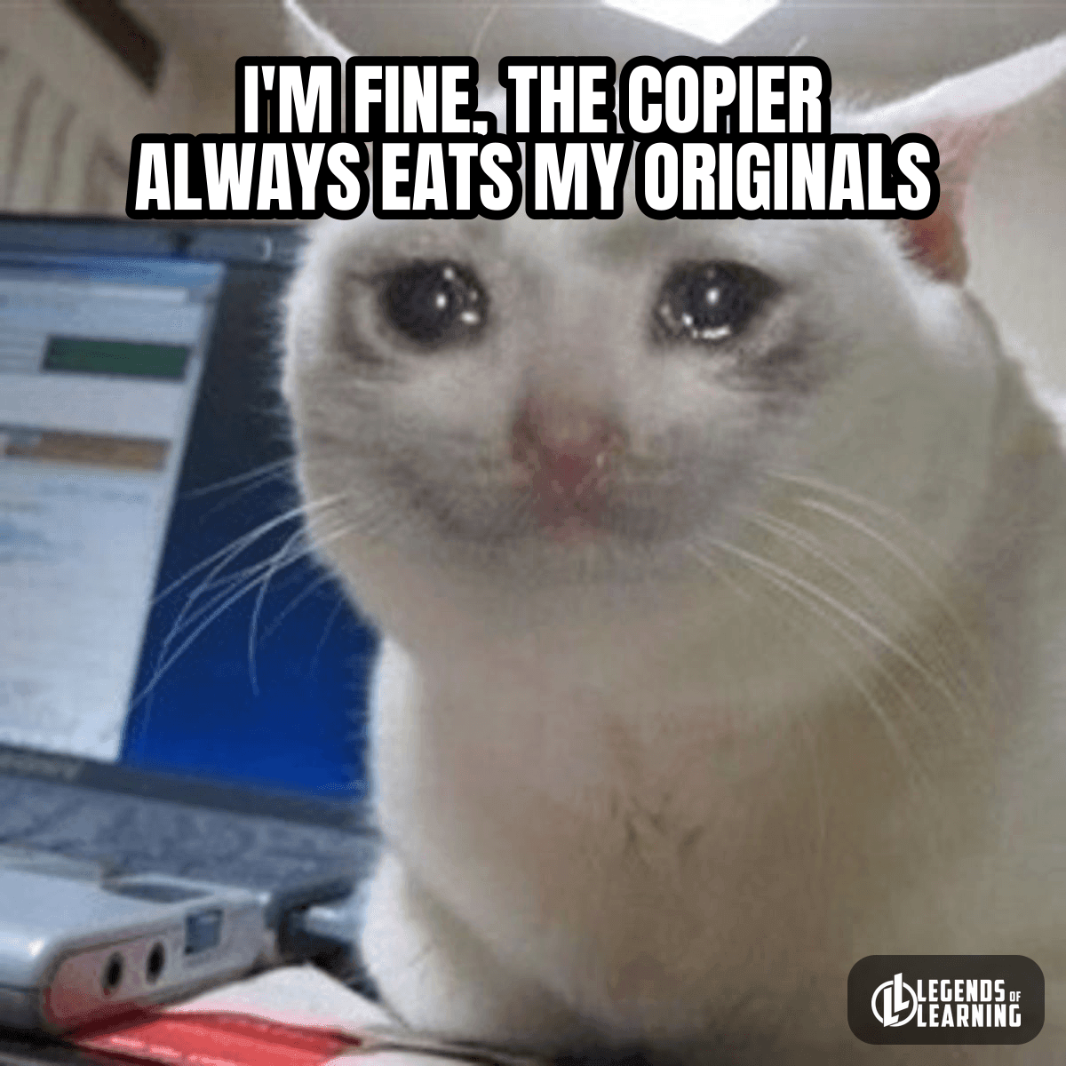 I'M FINE, THE COPIER ALWAYS EATS MY ORIGINALS