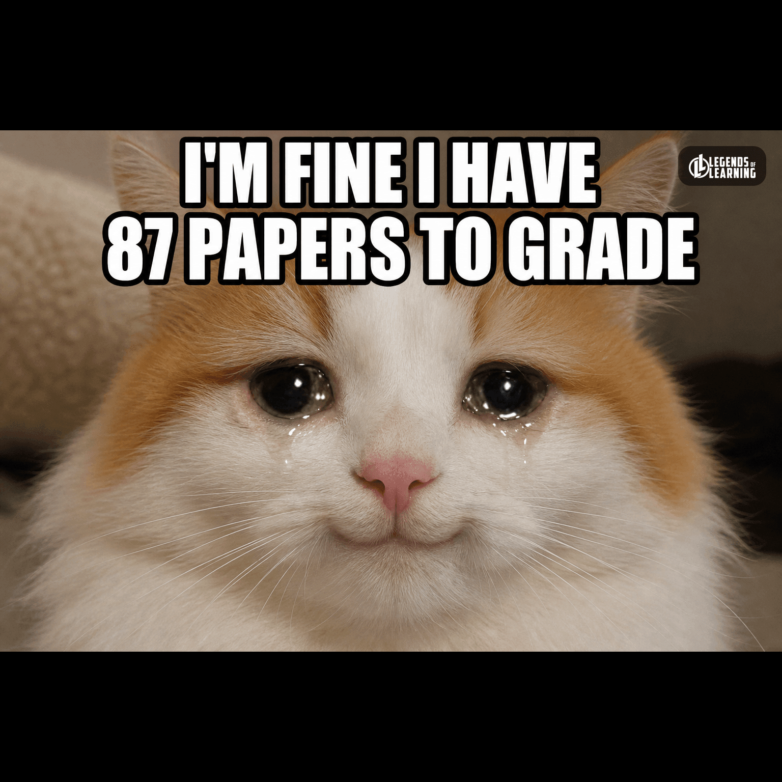 I'M FINE I HAVE 87 PAPERS TO GRADE