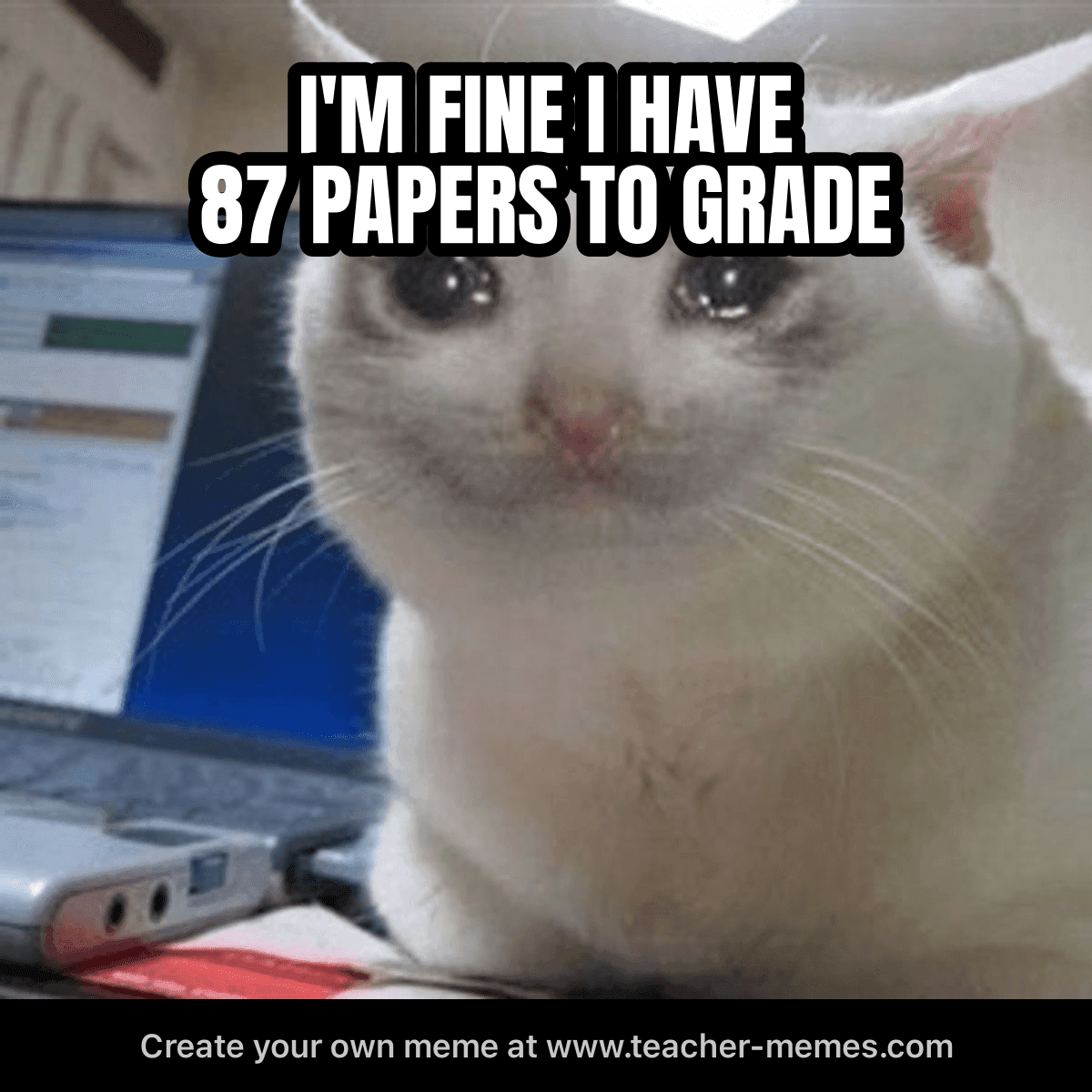 I'M FINE I HAVE 87 PAPERS TO GRADE
