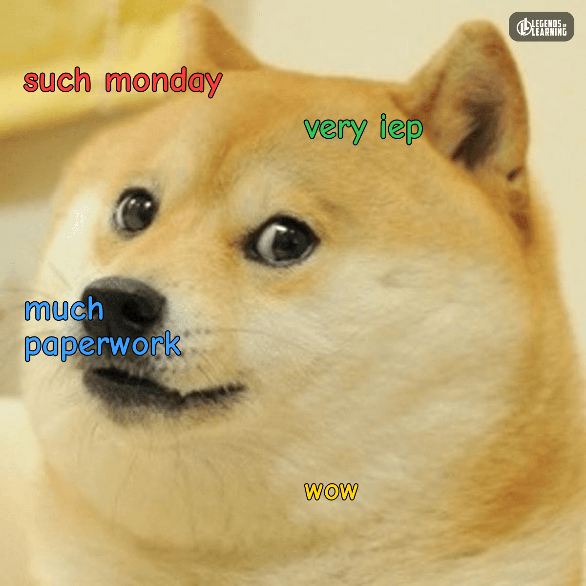 SUCH MONDAY / VERY IEP / MUCH PAPERWORK / WOW