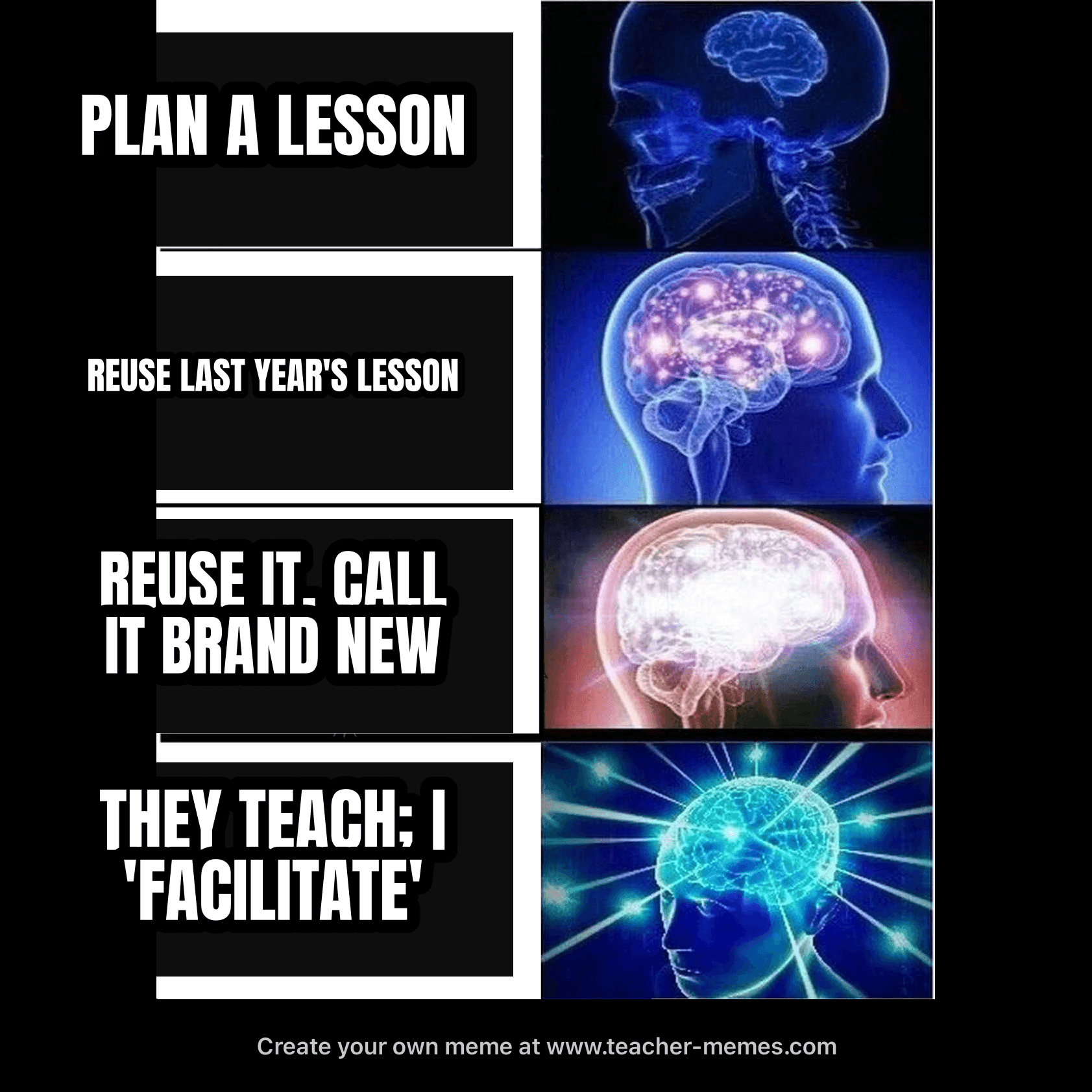 PLAN A LESSON / REUSE LAST YEAR / CALL IT BRAND NEW / THEY TEACH, I 'FACILITATE'