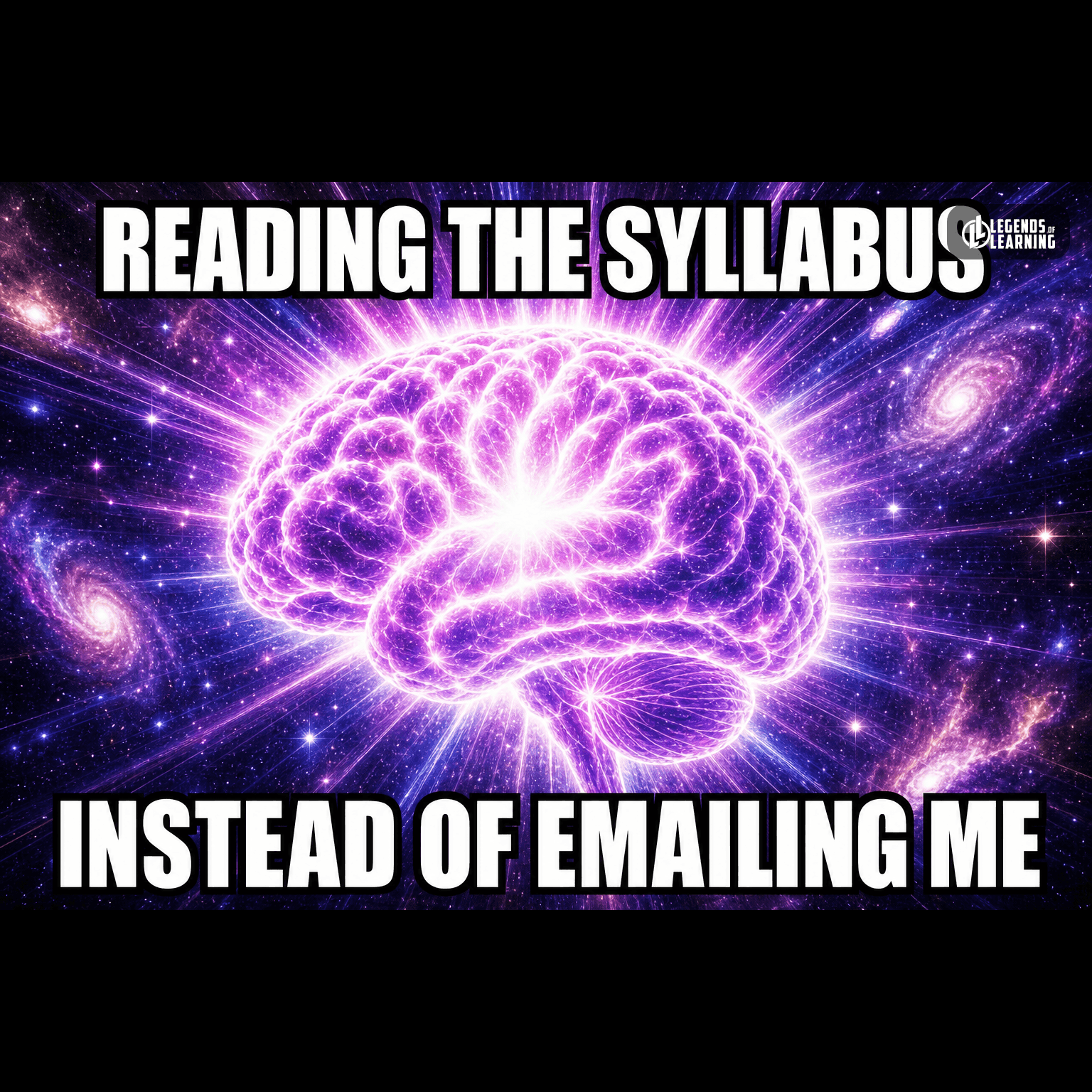READING THE SYLLABUS / INSTEAD OF EMAILING ME