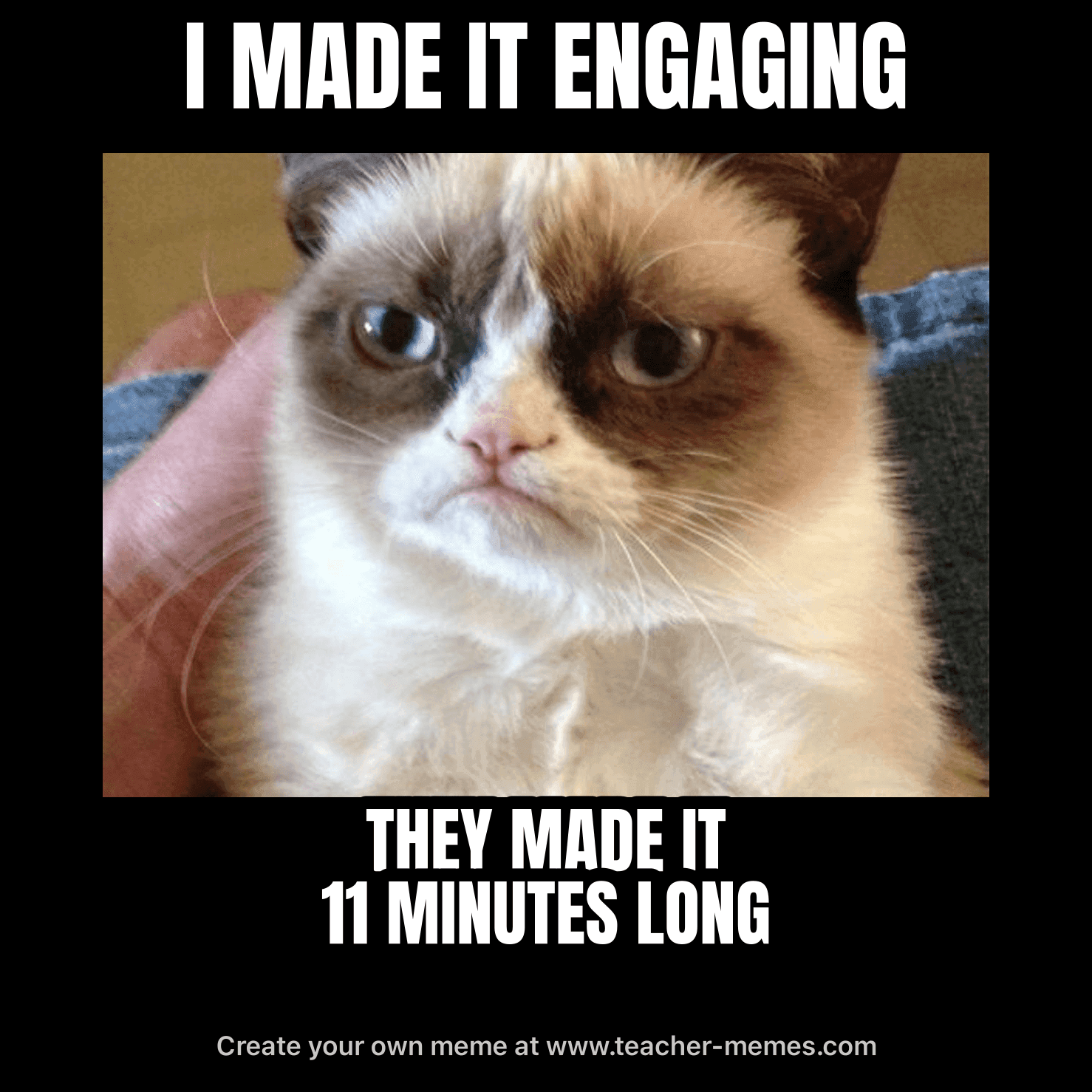 I MADE IT ENGAGING / THEY MADE IT 11 MINUTES LONG