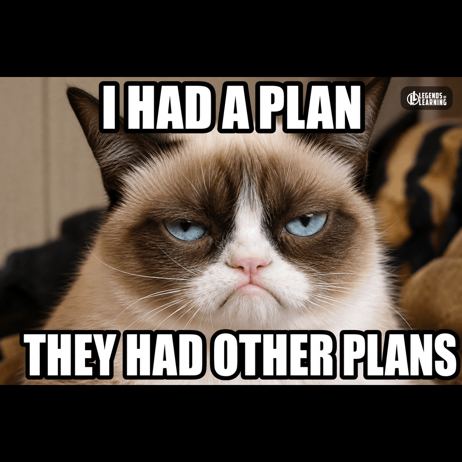 I HAD A PLAN / THEY HAD OTHER PLANS