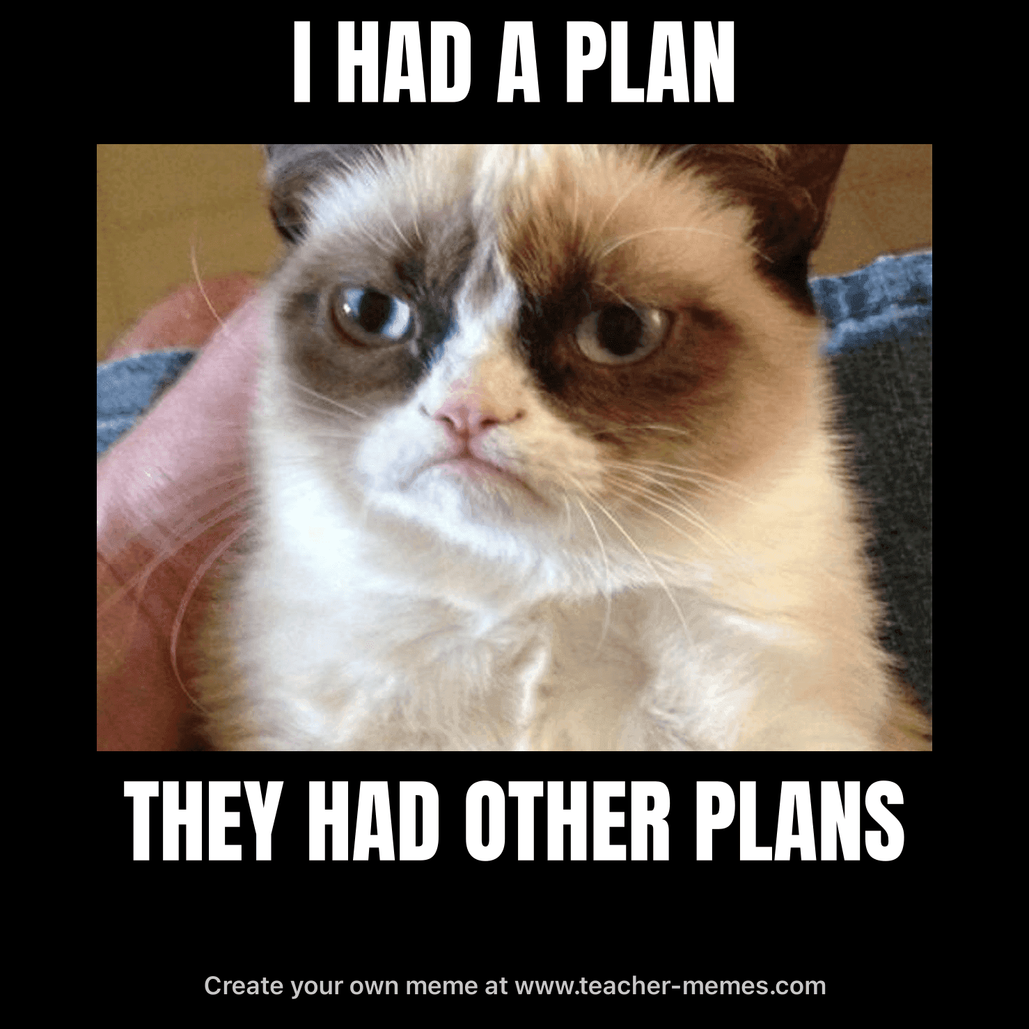 I HAD A PLAN / THEY HAD OTHER PLANS