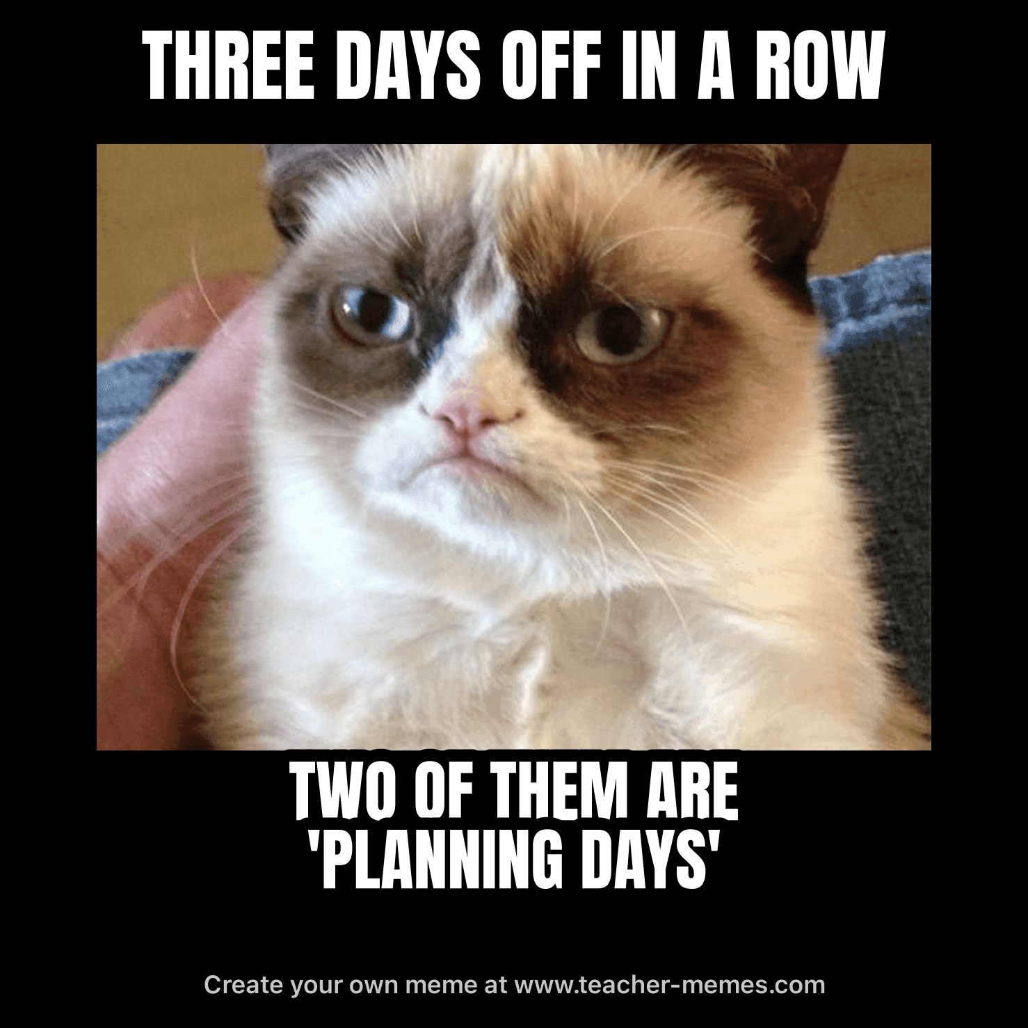 THREE DAYS OFF / TWO ARE PLANNING DAYS