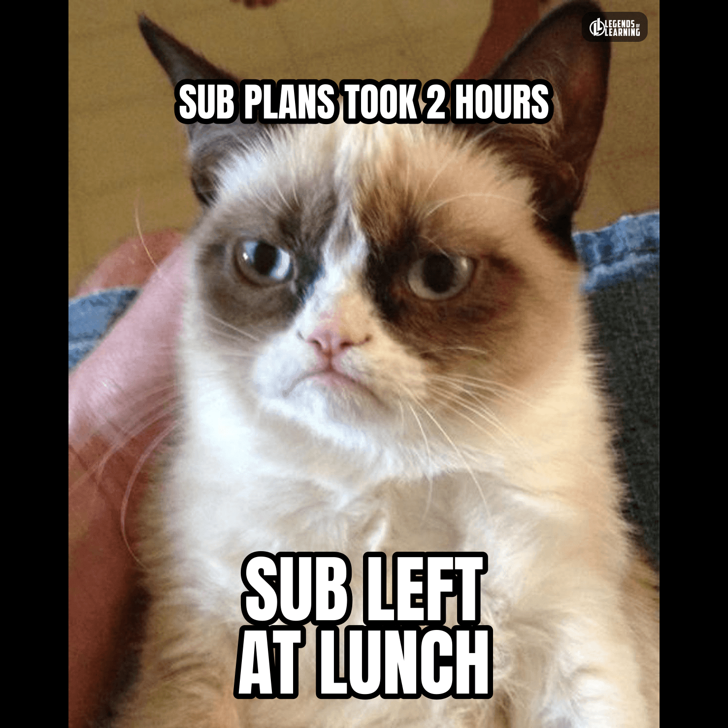 SUB PLANS TOOK 2 HOURS / SUB LEFT AT LUNCH