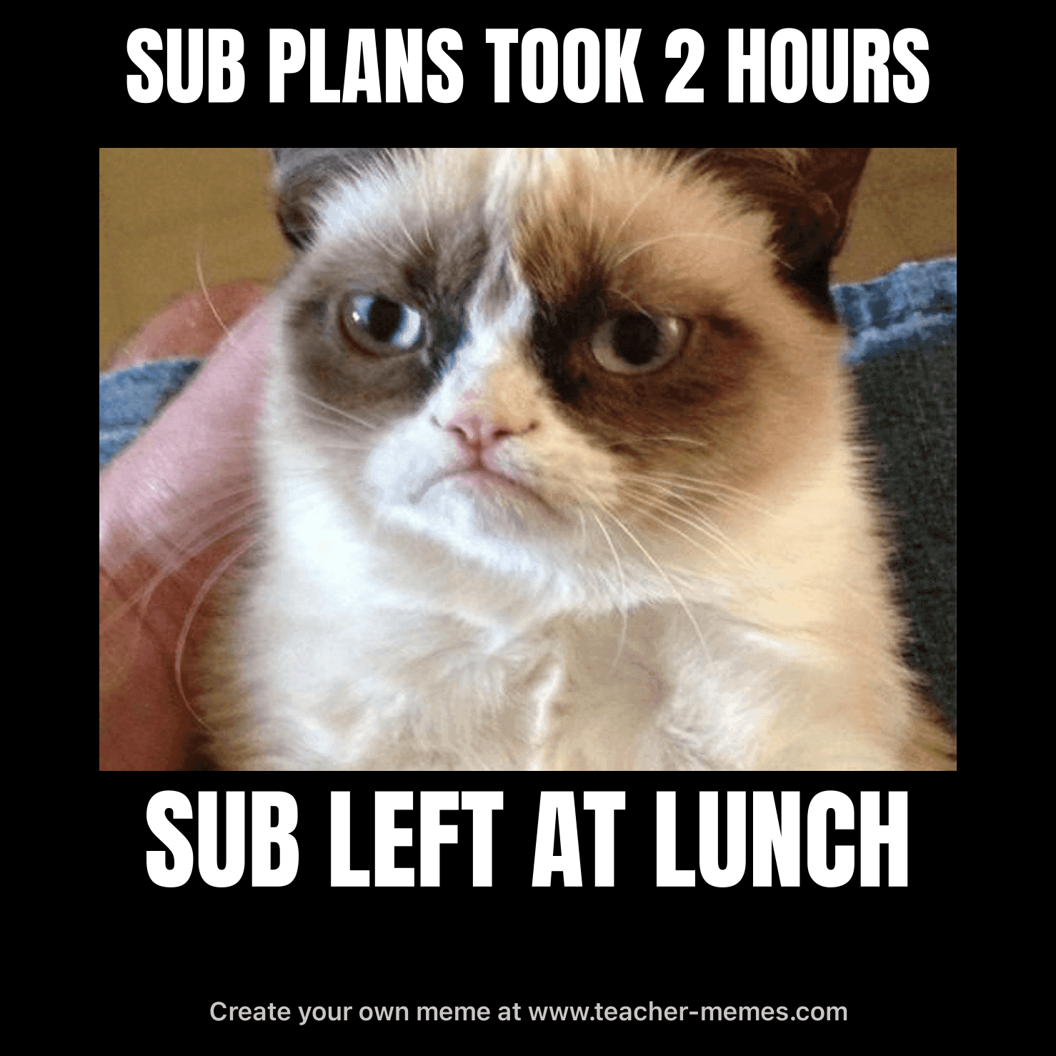 SUB PLANS TOOK 2 HOURS / SUB LEFT AT LUNCH