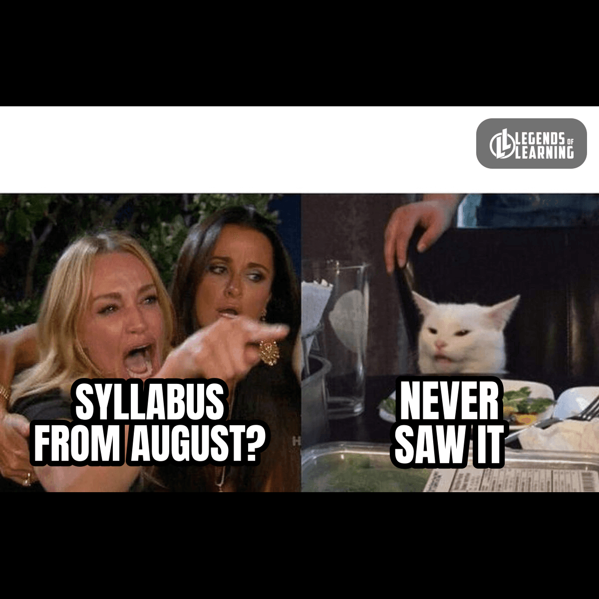 SYLLABUS FROM AUGUST? / NEVER SAW IT