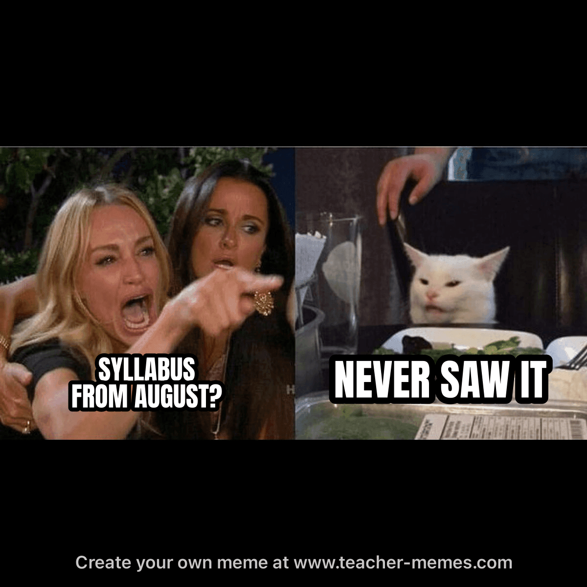 SYLLABUS FROM AUGUST? / NEVER SAW IT